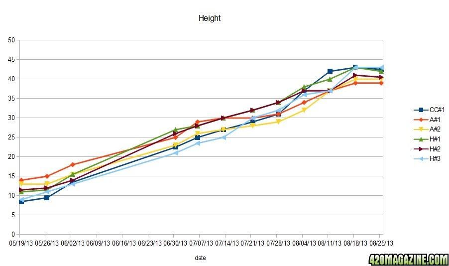 Height17.jpg