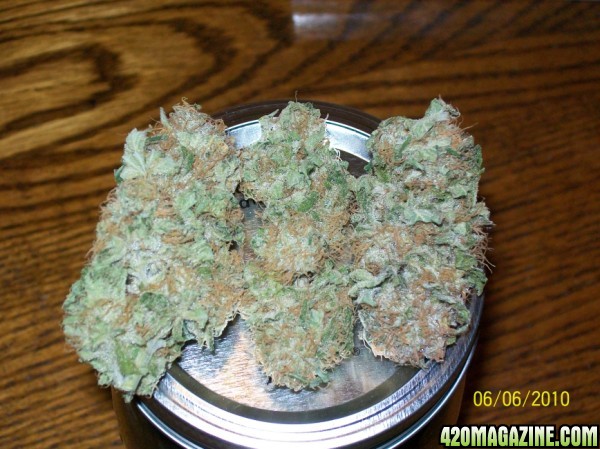 Hindu_skunk_nug_of_the_month_001_600x449.jpg