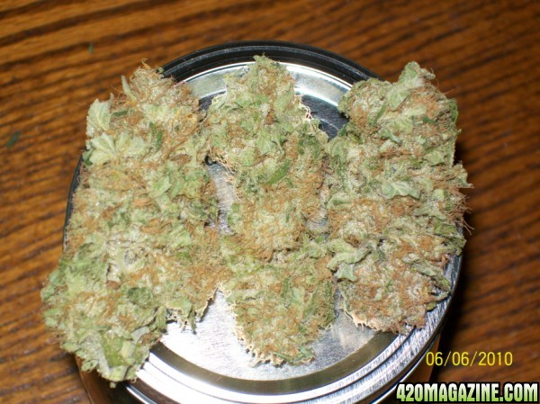 Hindu_skunk_nug_of_the_month_002_600x449.jpg