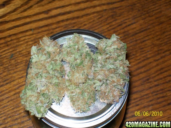 Hindu_skunk_nug_of_the_month_003_600x449.jpg