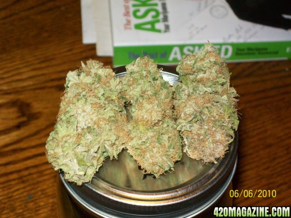 Hindu_skunk_nug_of_the_month_005_600x449.jpg