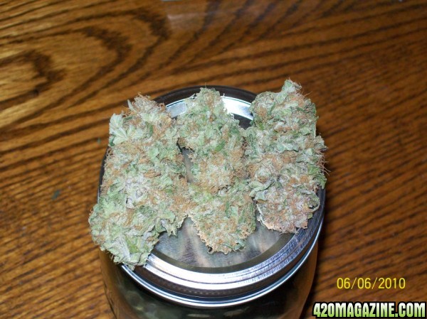 Hindu_skunk_nug_of_the_month_006_600x449.jpg