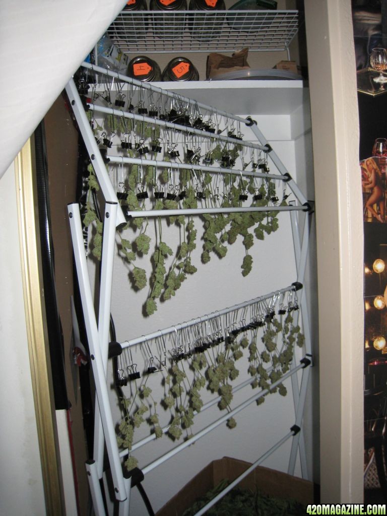 My Drying Room Idea Fyi 420 Magazine