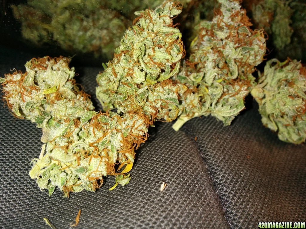 Icemud_Fire_OG_Kush_8_.jpg