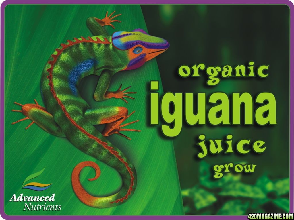 IguanaJuice-Grow.jpg