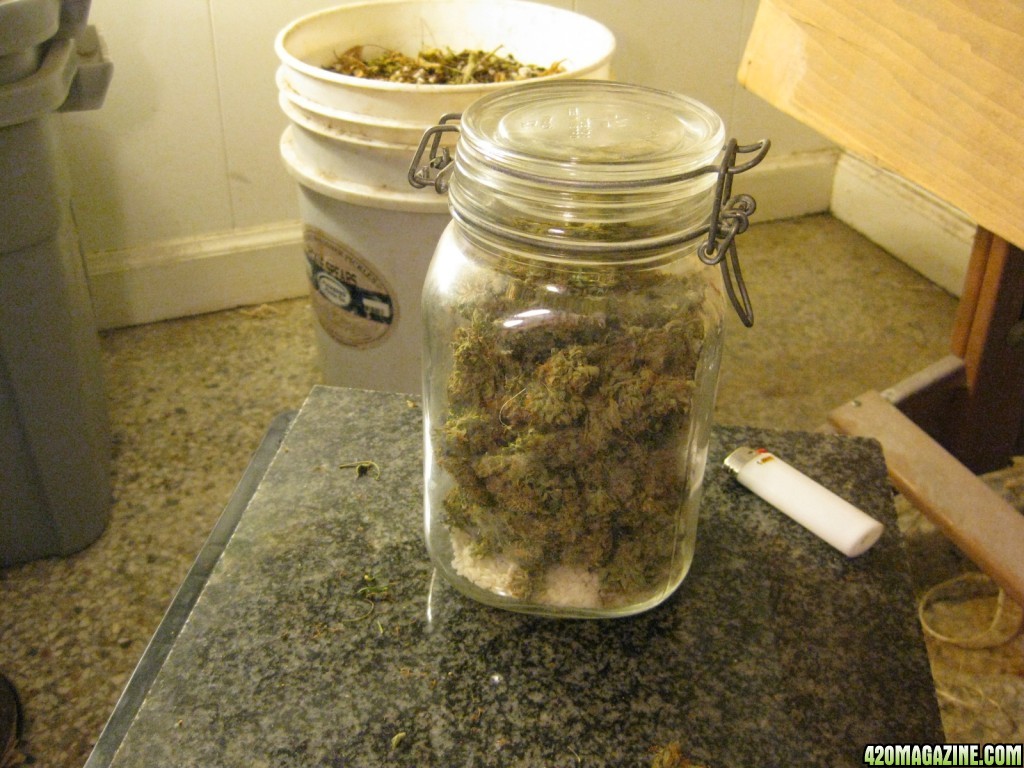 Jar31.JPG