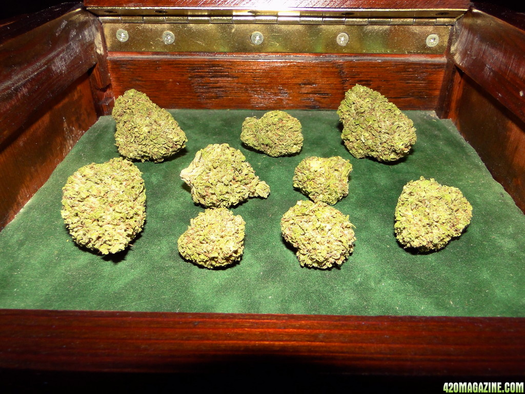 Legal_G_D_P_x_AK-47_Nuggets.JPG