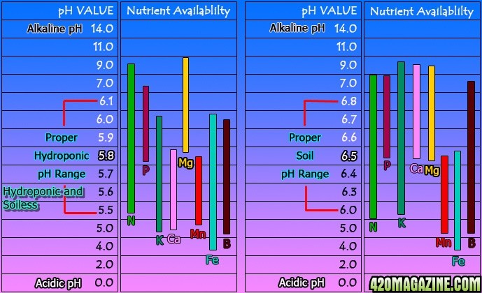 Nutrient_Availability_Chart3.jpg