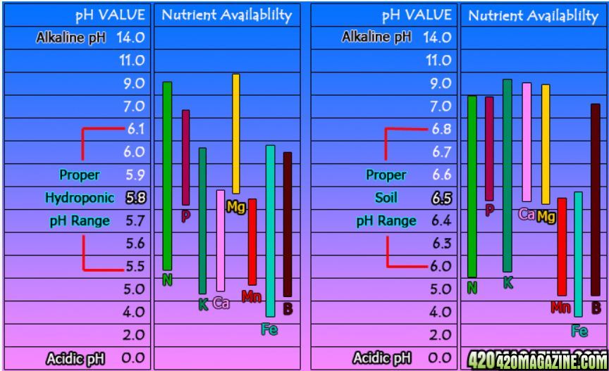 Nutrient_Availability_chart2.JPG