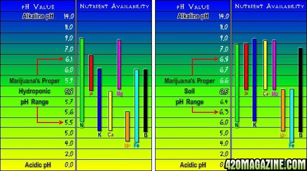 Nutrient_Chart22.jpg