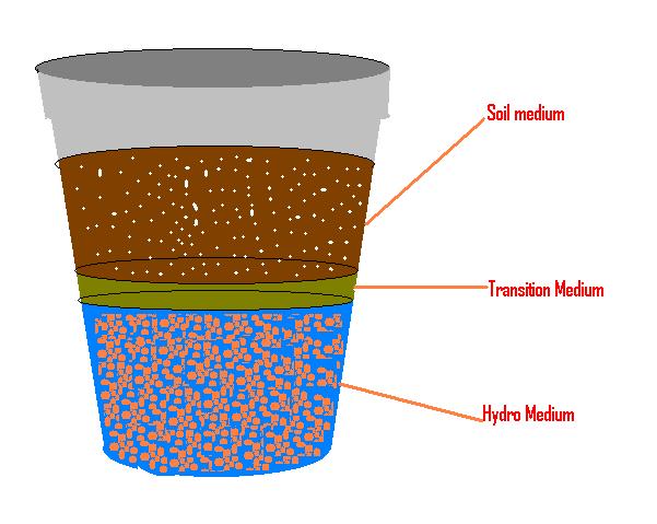 Organic_Hydro.bmp