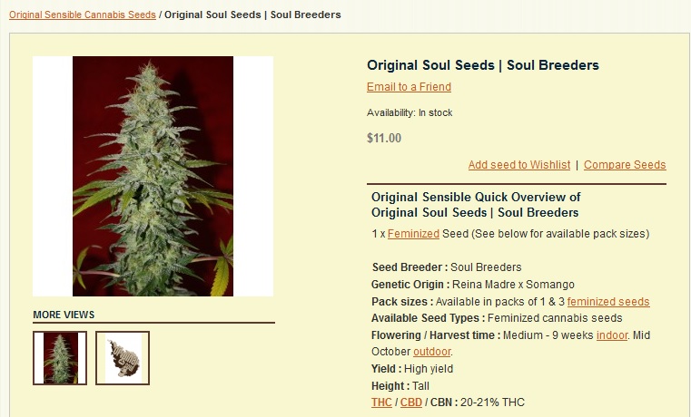 OrigSoulSeeds.jpg