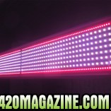 PAR_FORCE_LED_GROW_LIGHTS_006-157x157.jpg