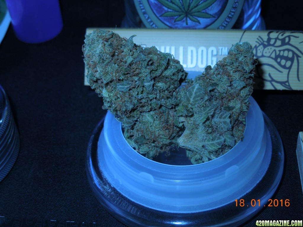 POTM_bud_shot_with_gifts_2.jpg