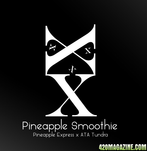 PineappleSmoothie.jpg