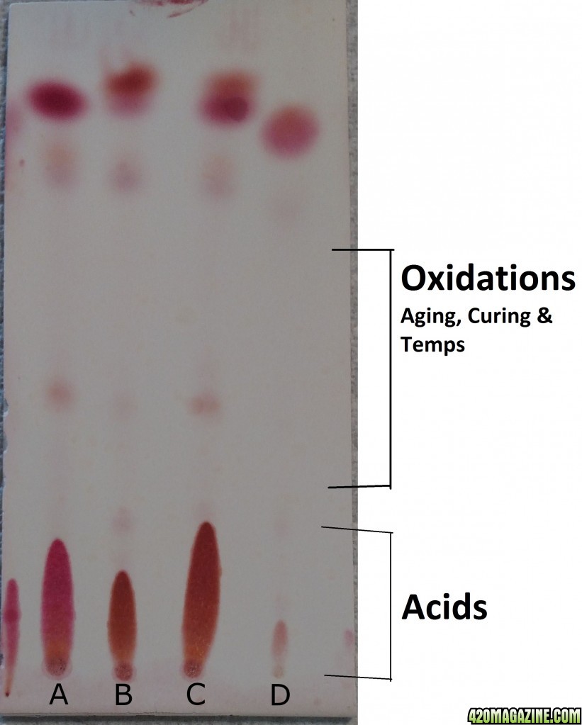 Plate8a-Acids.jpg