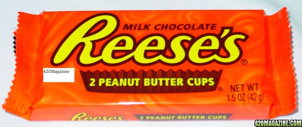 Reeses_Peanut_Butter_Cups.jpg