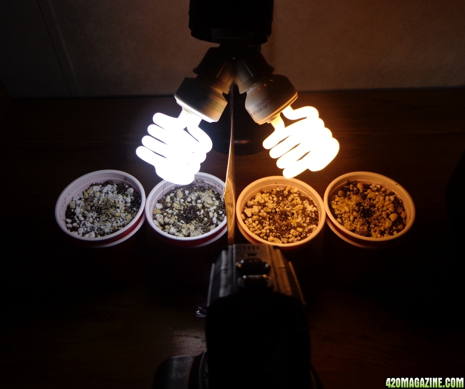 Seeds_Lighting_Time_lapse_set_up.jpg