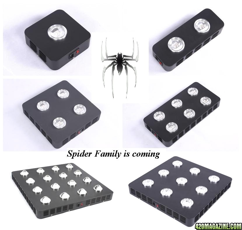 Spider_Family_is_Coming.jpg