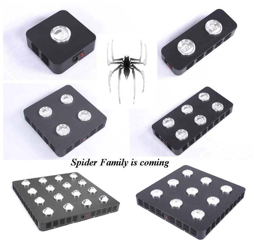 Spider_Family_is_coming1.png