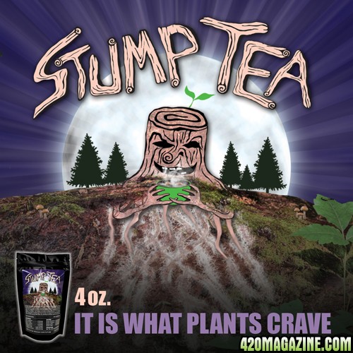 Stump_tea.jpg