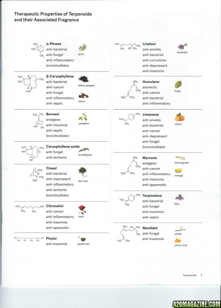 Terpenoids.jpg