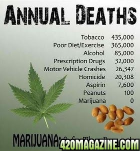 Weed_Safer_than_peanuts_This_says_it_all_Legalize_500bcc_3594619.jpg