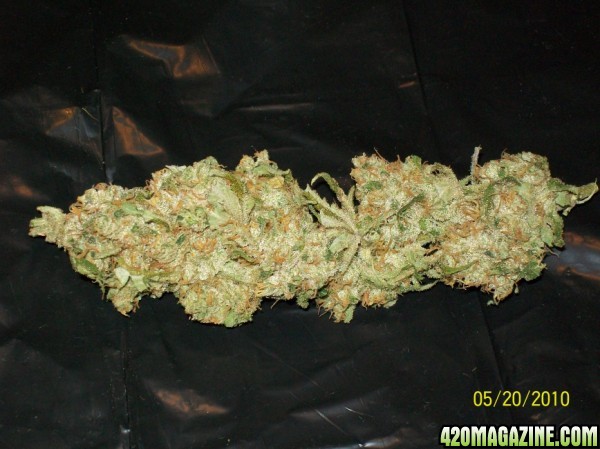 XJ-13_nug_of_the_month_003_600x449.jpg