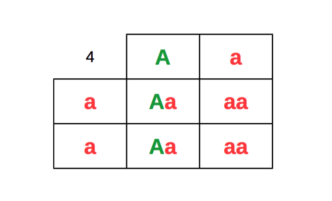 backbreeding-punnett-table.png