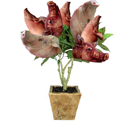 bacon_plant_finished.jpeg