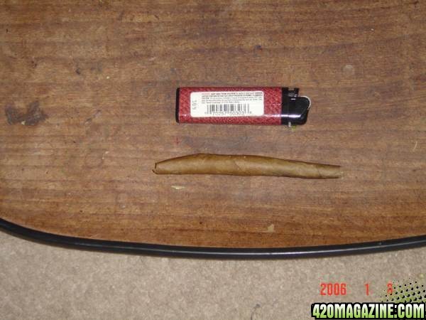 bigblunt1.jpg