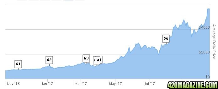 bitcoin_1_year.JPG