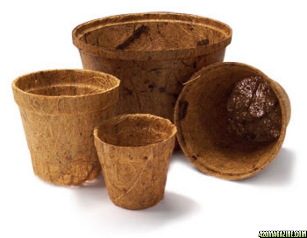 coir-round-pots-dd_.jpg