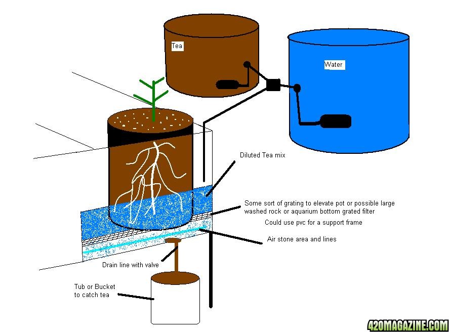 compost_tea_watering1.JPG