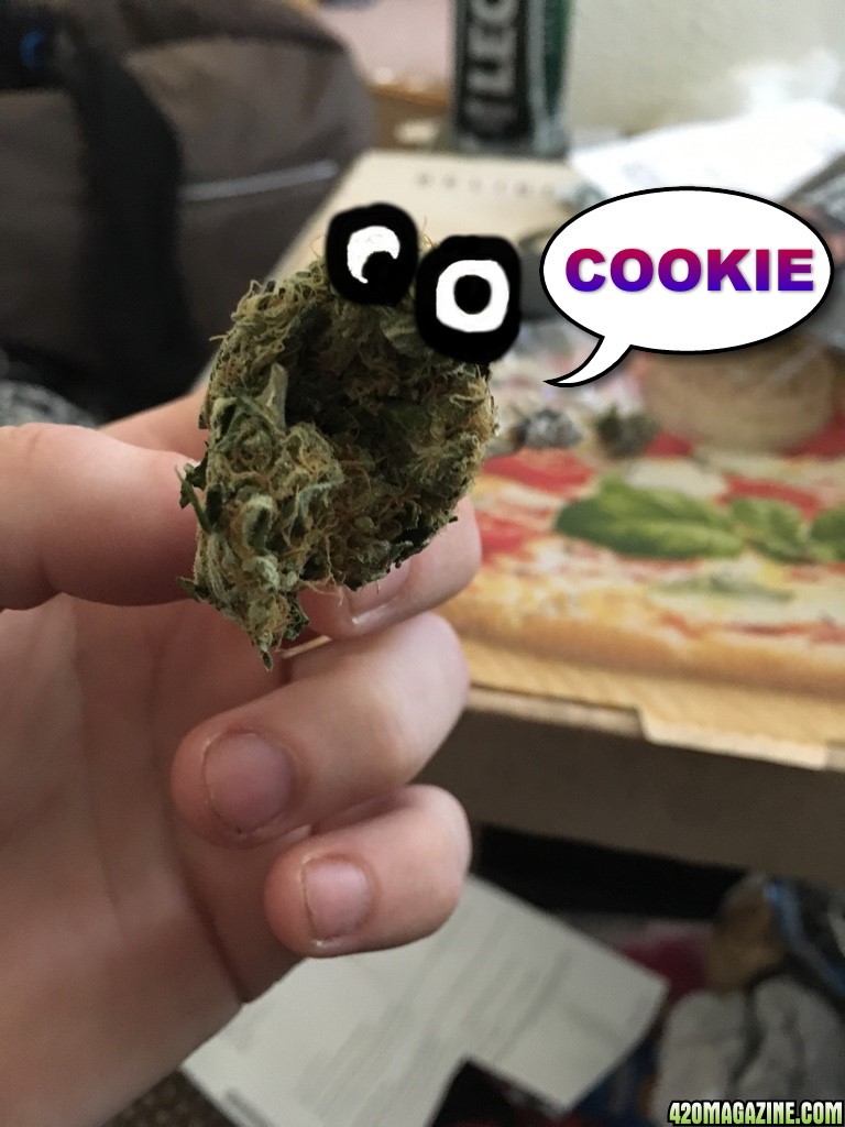 cookie5.jpg