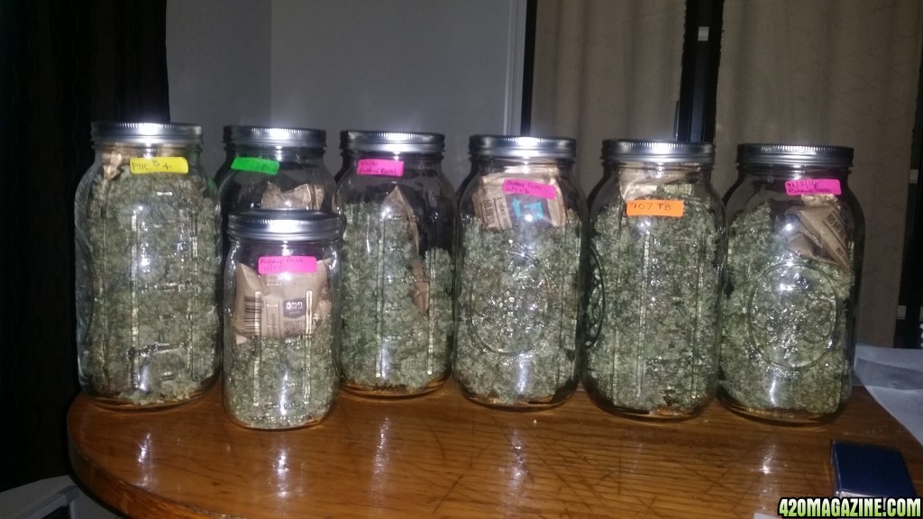 day_142_flip_74_stash_jars.jpg