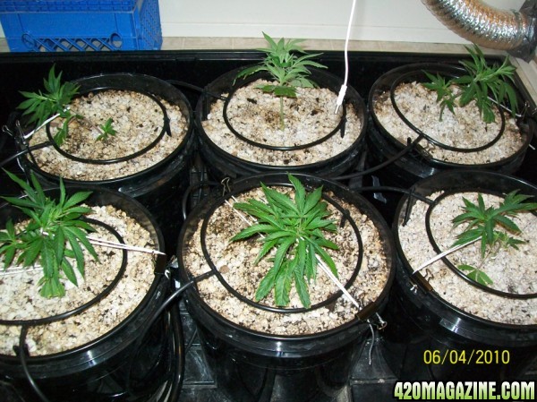 day_6_1st_day_of_LST_001_600x449.jpg