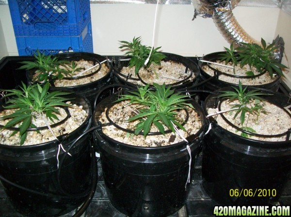 day_8_3st_day_of_LST_007_600x449.jpg