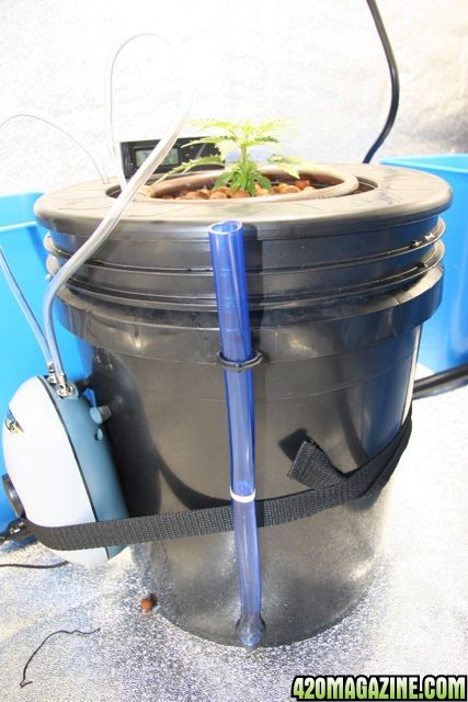 diy_bucket.jpg