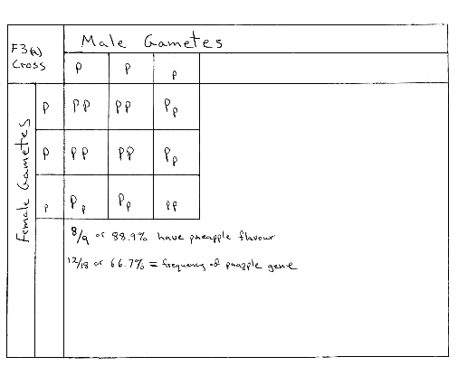 f3across.gif