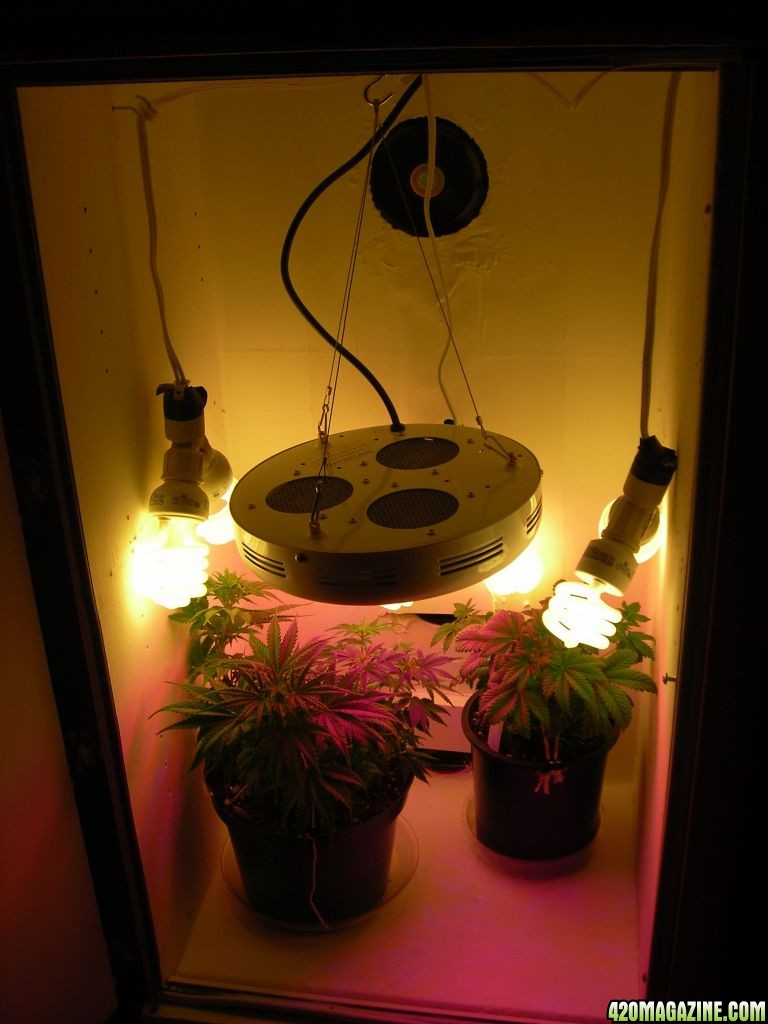 first_grow103.jpg