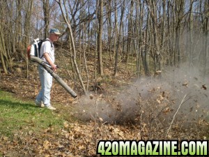 gas_powered_leaf_blower-300x225.jpg