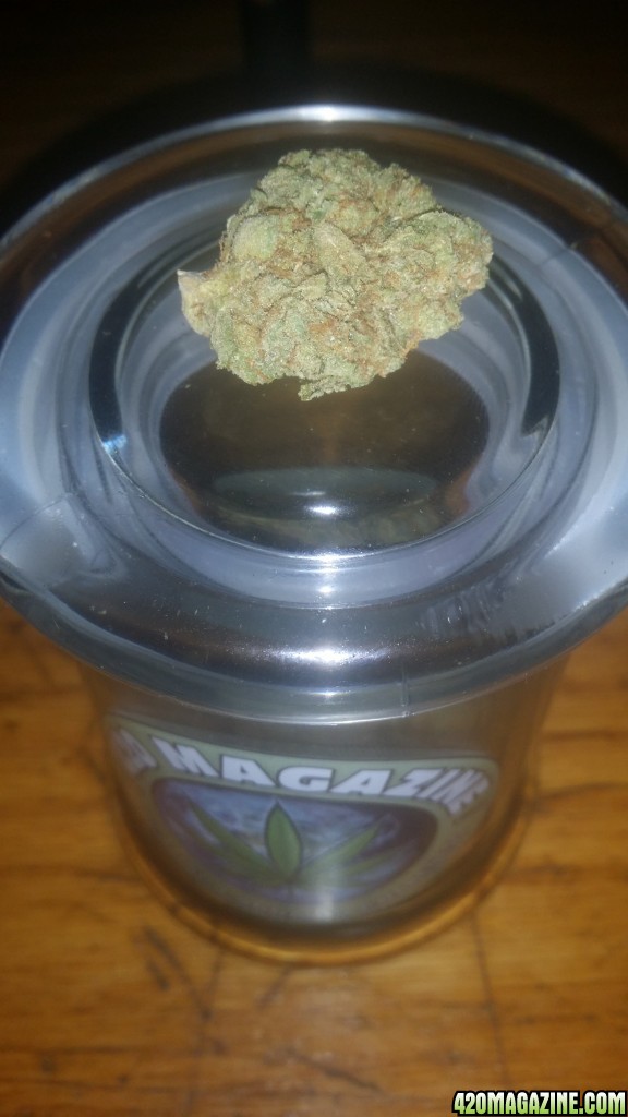 gg4_nug_pic.jpg