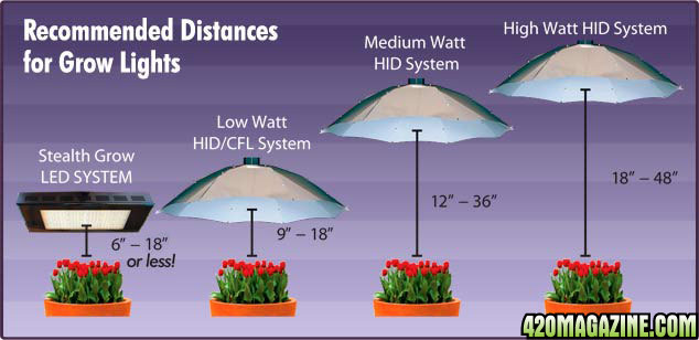 grow-room-light-distances.jpg