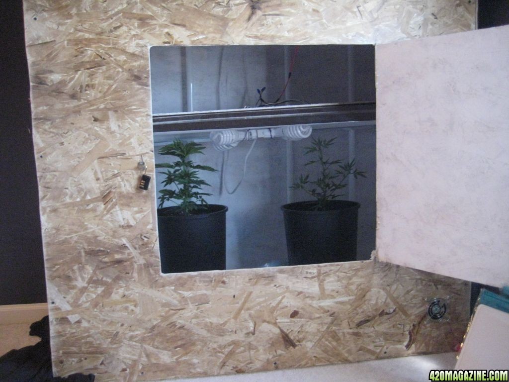 grow_box_2.JPG