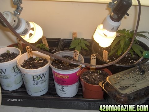 grow_update_044.JPG