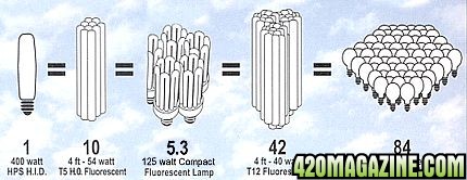 l-comparison.jpg