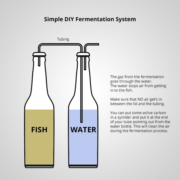 Simple-DIY-Fermentation-System.png