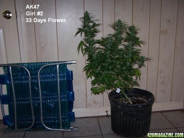 ak47-p01.jpg