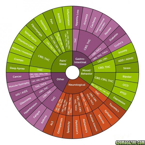 cannabinoid-wheel-large.jpg